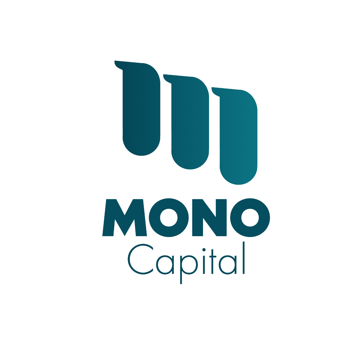 Mono Capital – Yatırım